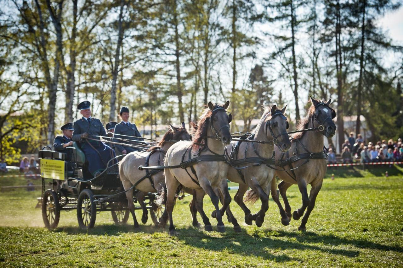 Domek Trolla Sierakow  Buitenkant foto